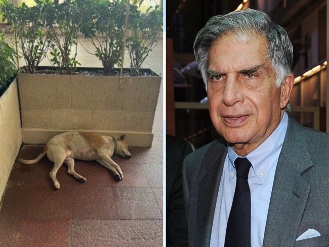 ​Ratan Tata