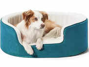 10 Best Dog Beds in India offering Snuggly Warmth for Every Pup's Dream Sleep