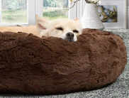 10 Best Dog Beds for Small Dogs that Ensure a Restful Sleep