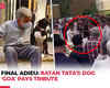 Final Adieu: Ratan Tata cremated with full state honours; Tata's dog, 'Goa' pays tribute to veteran industrialist