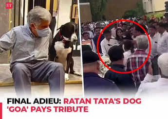 Final Adieu: Ratan Tata cremated with full state honours; Tata's dog, 'Goa' pays tribute to veteran industrialist