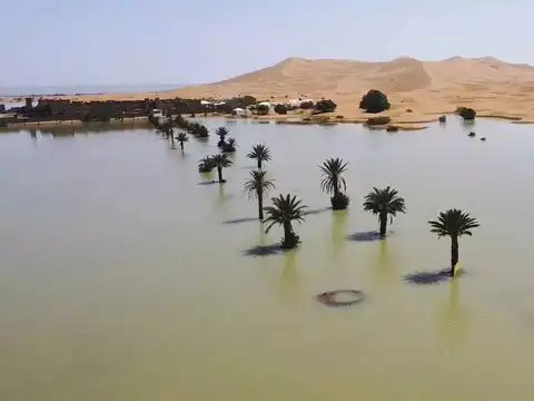 Meteorologists warn of climate shift