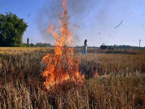 Centre's Air Quality panel deploys flying squads in Haryana, Punjab to monitor stubble burning