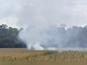 A small plane from Iowa crashed in an Indiana cornfield, killing everyone onboard