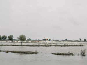 Flooding Continues To Debilitate Pakistani Lives