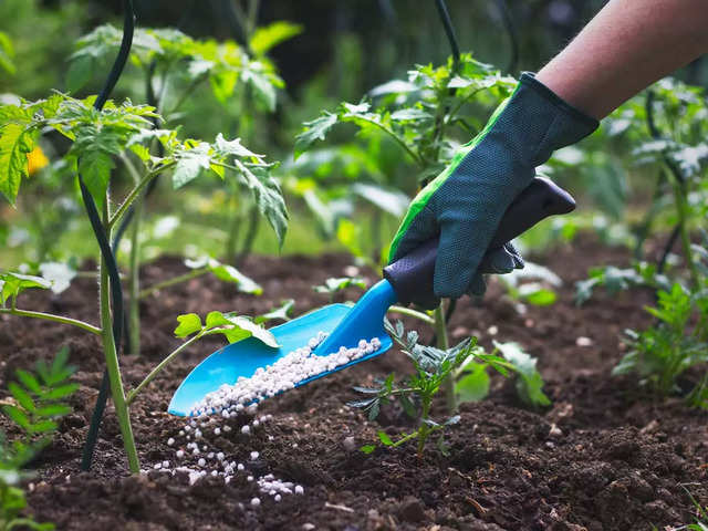 Chambal Fertilisers