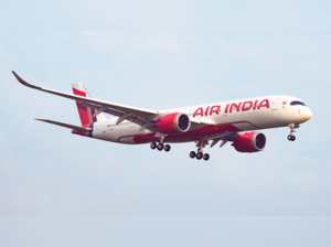 Air India's flight (Picture credit: Air India X handle)