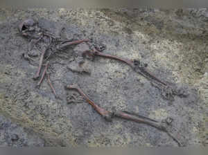 In Denmark, 50 well-preserved Viking Age skeletons unearthed