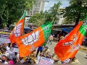 Big overhaul in UP BJP likely after byelections