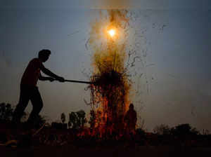 Amritsar: A farmer burns paddy stubble at a farm on the outskirts of Amritsar. T...