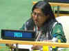 India reiterates support for Africa; calls its exclusion from UNSC a "historical injustice"