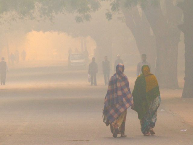 How to survive Delhi's air pollution