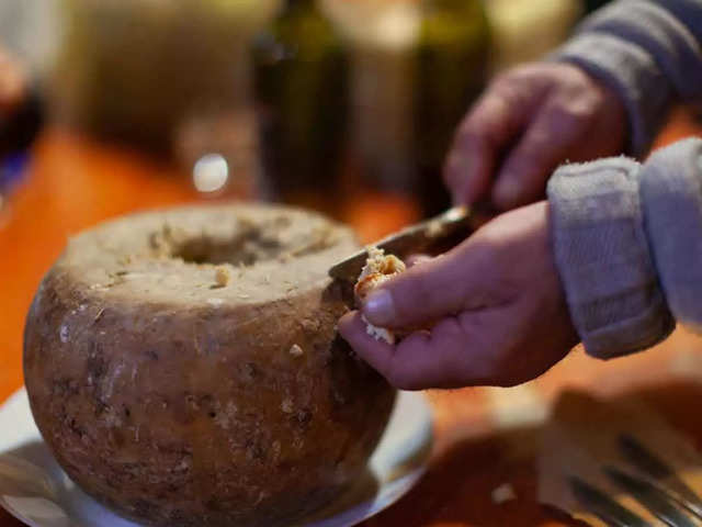 Casu Marzu (Italy)