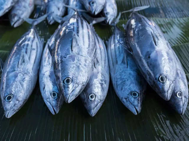 Tuna Eyeballs (Japan)