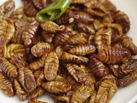 Beondegi (South Korea)