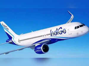 indigo airlines molestation case