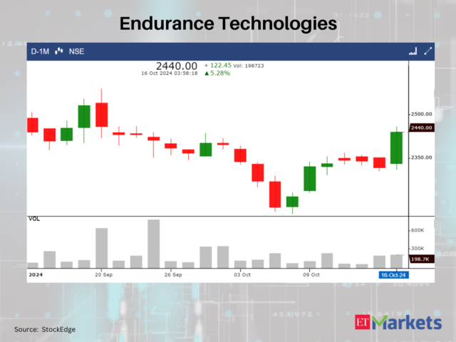 Endurance Technologies