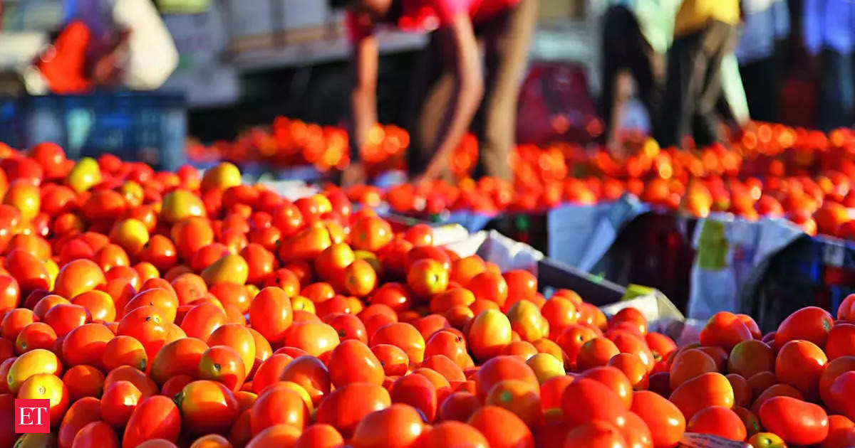 Relief on the way! Tomato prices in Delhi may drop as Maharashtra supply increases