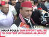 Maharashtra polls: 'Efforts to contest with INDIA alliance…,' Akhilesh Yadav on seat sharing plans