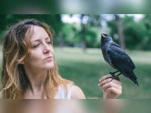 Crow with a woman