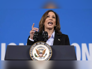 Did the Fox News interview help Kamala Harris win over the swing voters in her favor?