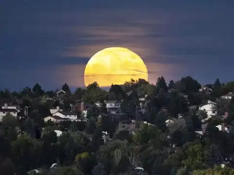 Colorado springs spectacle