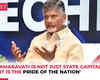 CM Naidu discusses plan to develop Amravati as Andhra Pradesh’s capital, says 'Excellent blueprint…