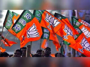 BJP UP Byelection