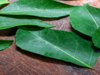 9 crazy health benefits of curry leaves