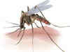 WHO certifies Egypt as malaria-free