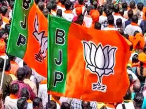 BJP maintains lead after crossing halfway mark in Haryana polls