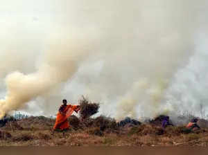 Stubble burning: Haryana suspends 24 officials for laxity, 6 farmers booked