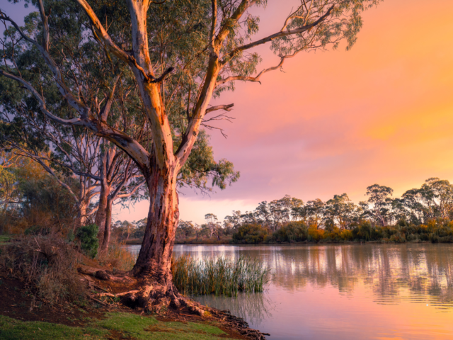 Murray River, Australia