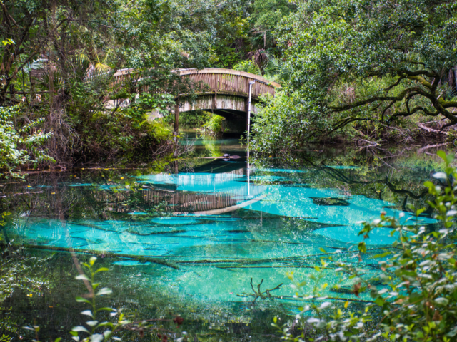 Ocala National Forest, Florida