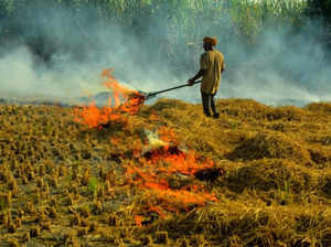 STUBBLE-BURNING