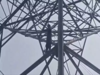 How far will you go to save the environment? Delhi man climbs electric pole to call on PM Modi and CM Atishi