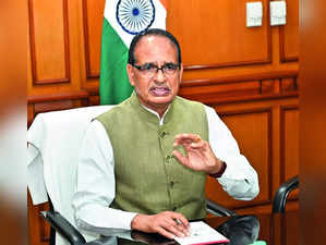 Land Records in 626,000 Villages Digitised: Chouhan