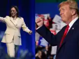 Trump vs. Harris: Who will revive the US economy? Voter opinions divided!