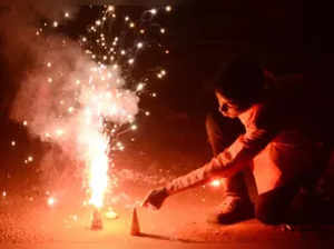 Bihar govt bans sale, bursting of firecrackers, including green crackers, in Patna, 3 other cities