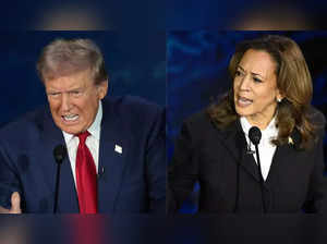 Who will win the US elections, Trump or Harris? The stock market may have an answer to this big question