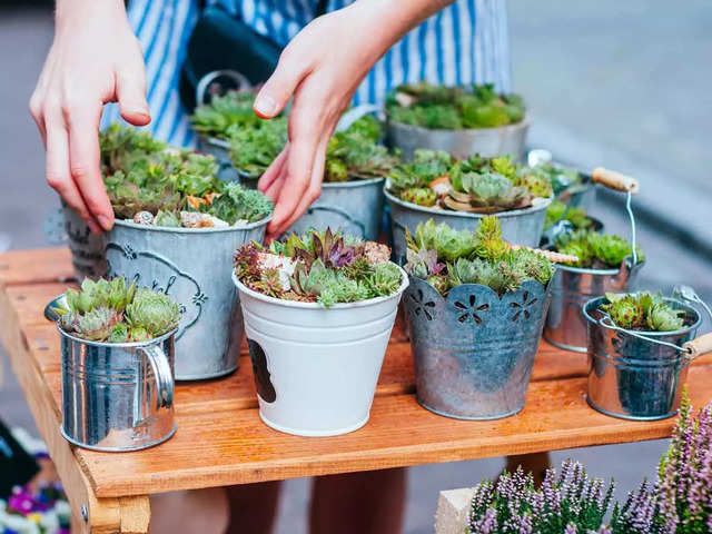 DIY plant pots