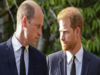 Prince William mentions brother Harry in new documentary despite rift