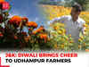 Udhampur, J&K: Diwali brings cheer to Udhampur Marigold farmers; govt subsidies aid farmers