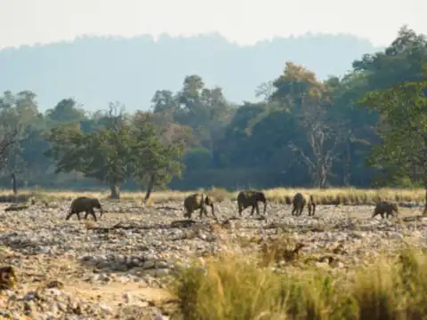 Pocharam Wildlife Sanctuary