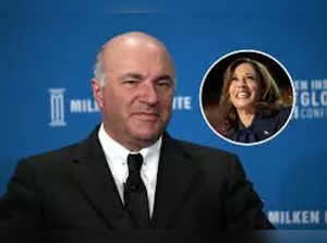 Did the Democrats circumvent democracy by selecting Harris? Shark Tank star Kevin O'Leary thinks so