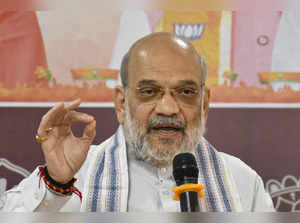 Panchkula: Union Minister and BJP leader Amit Shah speaks during a meeting of Ha...