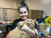 World’s fattest cat Crumbs gets admitted to fat loss camp, succumbs to cancer later