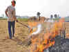 After Supreme Court rap, Centre looks to hike stubble fire penalties