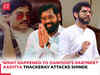 Maharashtra polls: 'What happened to Dawood's partner?', Aaditya Thackeray attacks Eknath Shinde