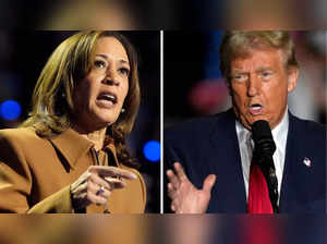 harris vs trump